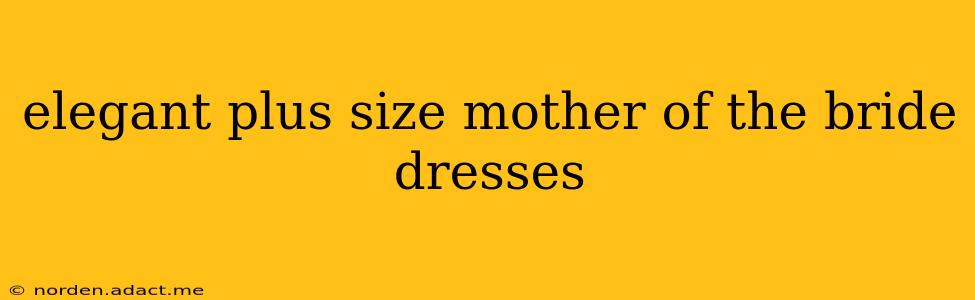 elegant plus size mother of the bride dresses