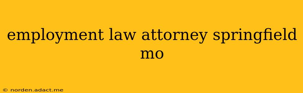 employment law attorney springfield mo