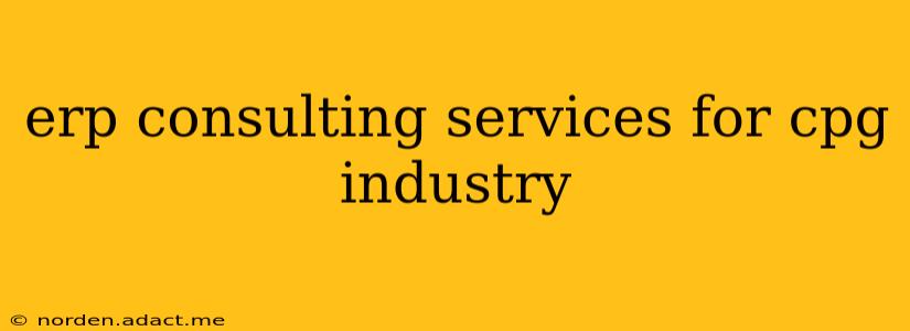 erp consulting services for cpg industry