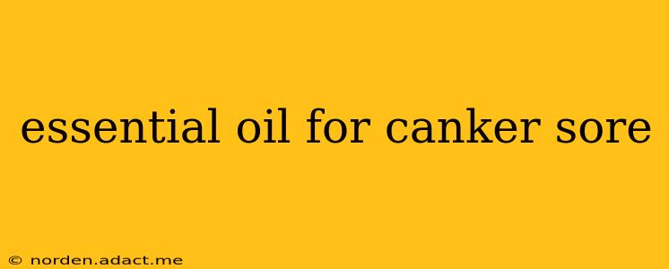 essential oil for canker sore