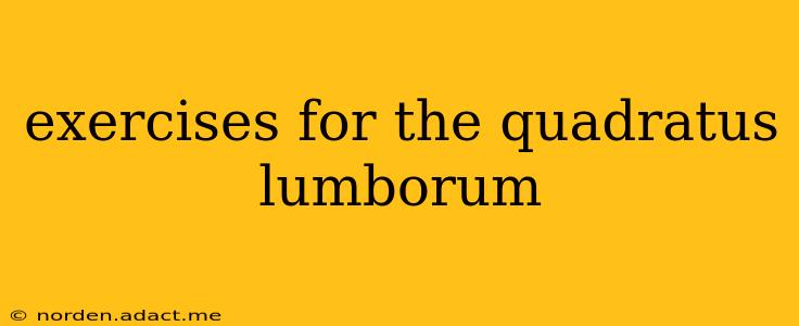 exercises for the quadratus lumborum