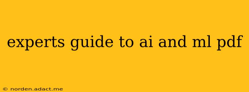 experts guide to ai and ml pdf