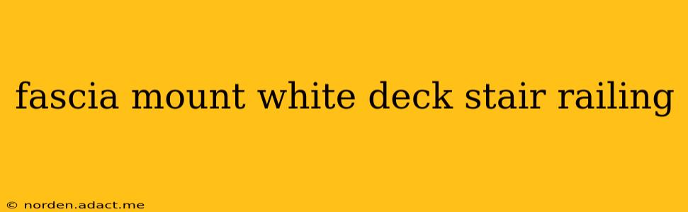 fascia mount white deck stair railing