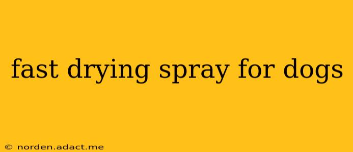 fast drying spray for dogs