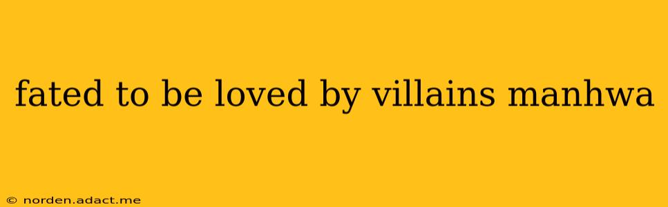 fated to be loved by villains manhwa