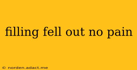 filling fell out no pain