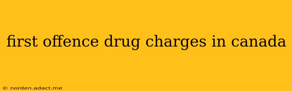 first offence drug charges in canada