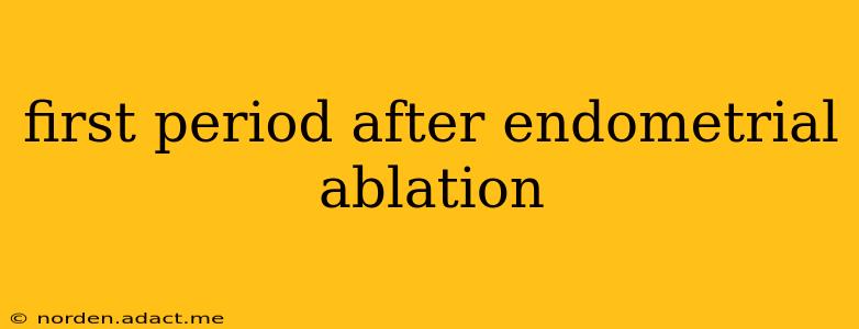 first period after endometrial ablation