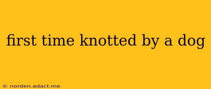first time knotted by a dog