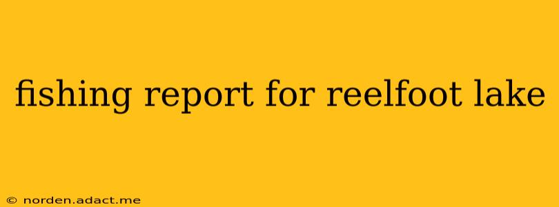 fishing report for reelfoot lake