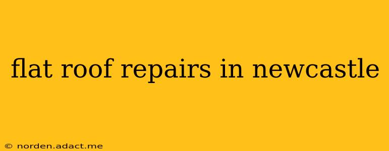 flat roof repairs in newcastle