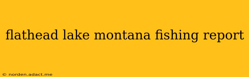 flathead lake montana fishing report