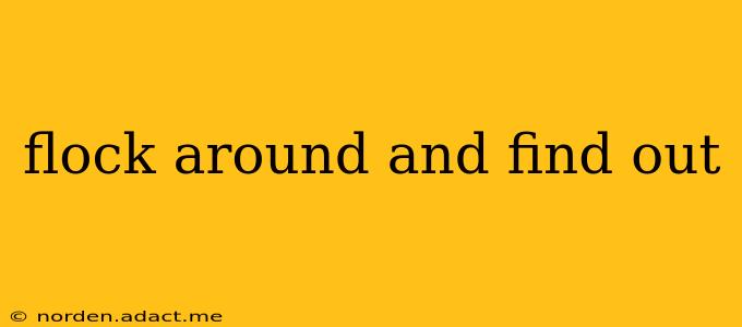 flock around and find out