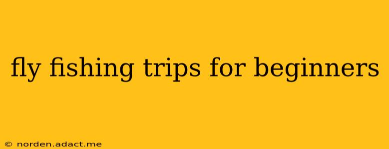 fly fishing trips for beginners