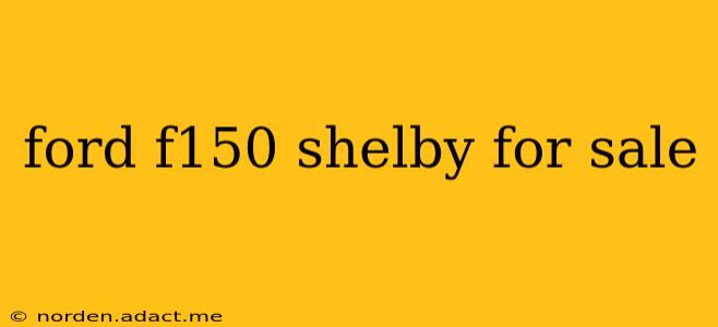 ford f150 shelby for sale