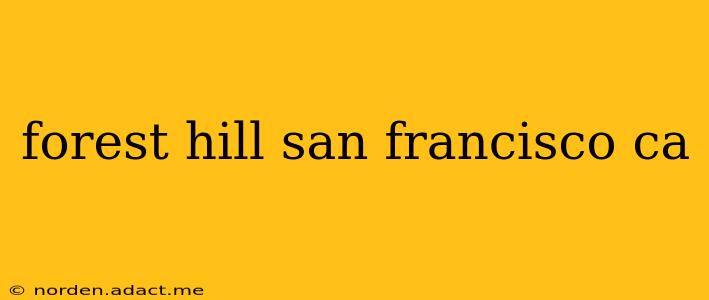 forest hill san francisco ca