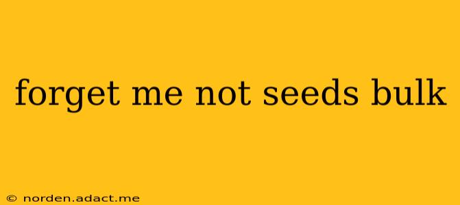 forget me not seeds bulk