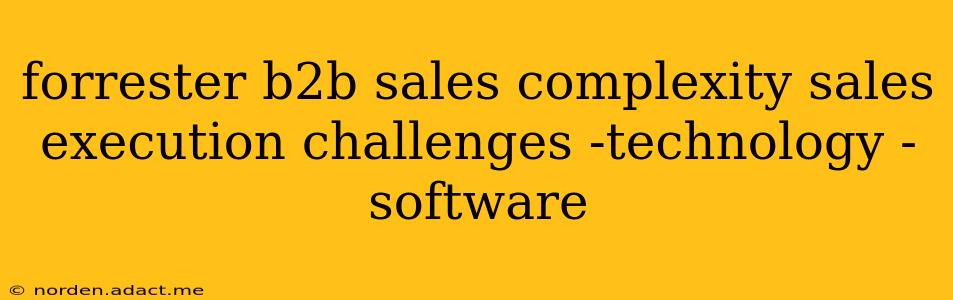 forrester b2b sales complexity sales execution challenges -technology -software