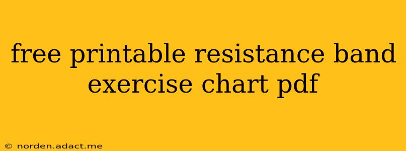 free printable resistance band exercise chart pdf