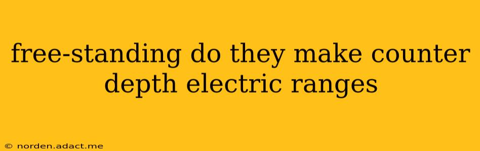 free-standing do they make counter depth electric ranges