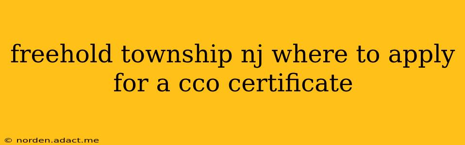 freehold township nj where to apply for a cco certificate