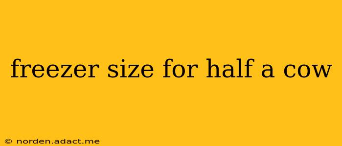 freezer size for half a cow