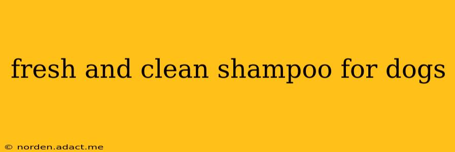 fresh and clean shampoo for dogs
