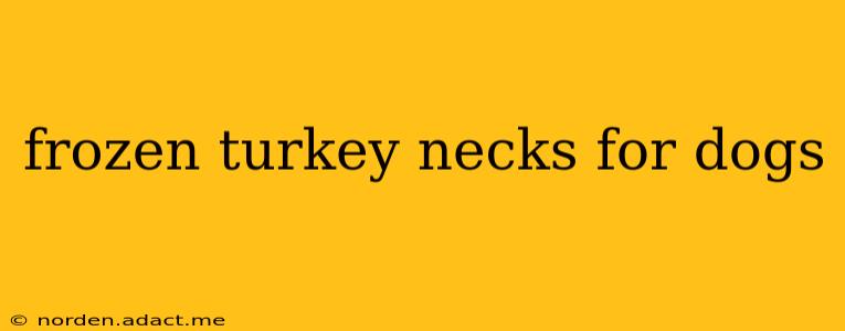 frozen turkey necks for dogs