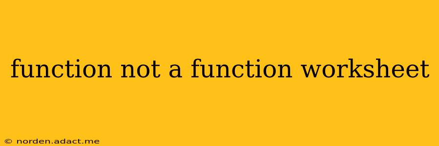 function not a function worksheet