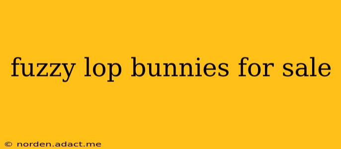 fuzzy lop bunnies for sale