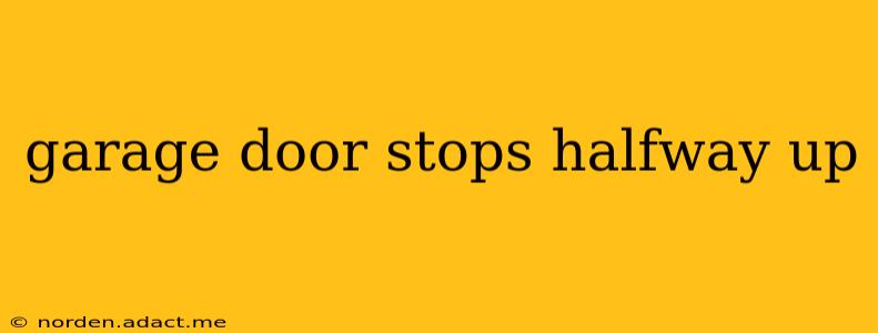 garage door stops halfway up
