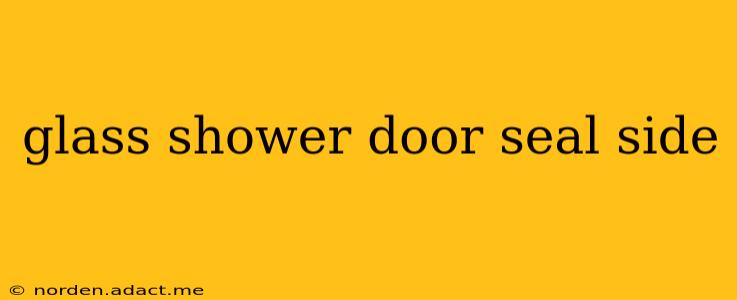 glass shower door seal side
