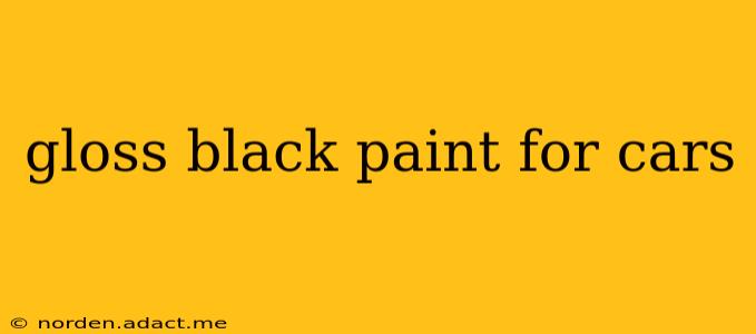 gloss black paint for cars
