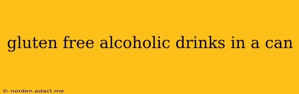 gluten free alcoholic drinks in a can