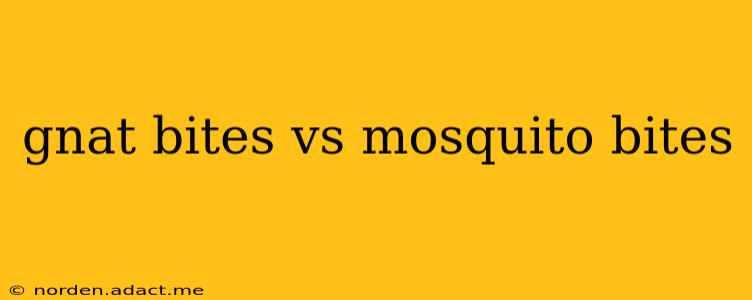 gnat bites vs mosquito bites