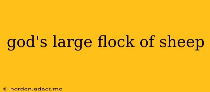 god's large flock of sheep