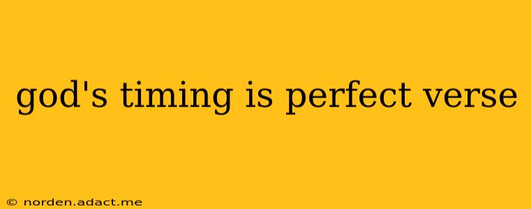 god's timing is perfect verse