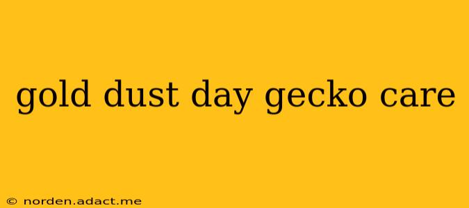 gold dust day gecko care