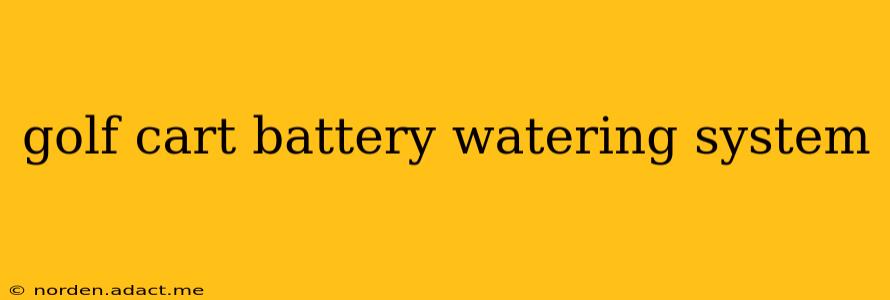 golf cart battery watering system