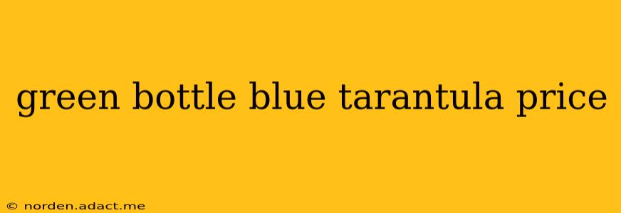green bottle blue tarantula price