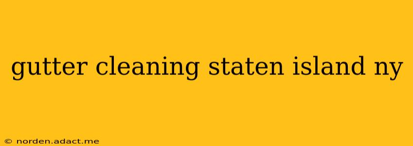 gutter cleaning staten island ny