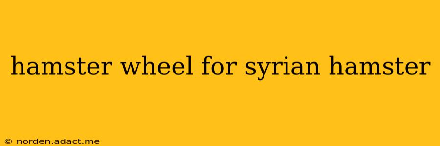 hamster wheel for syrian hamster