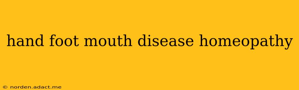 hand foot mouth disease homeopathy