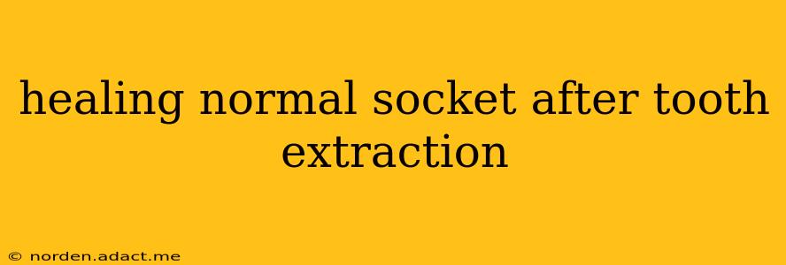 healing normal socket after tooth extraction