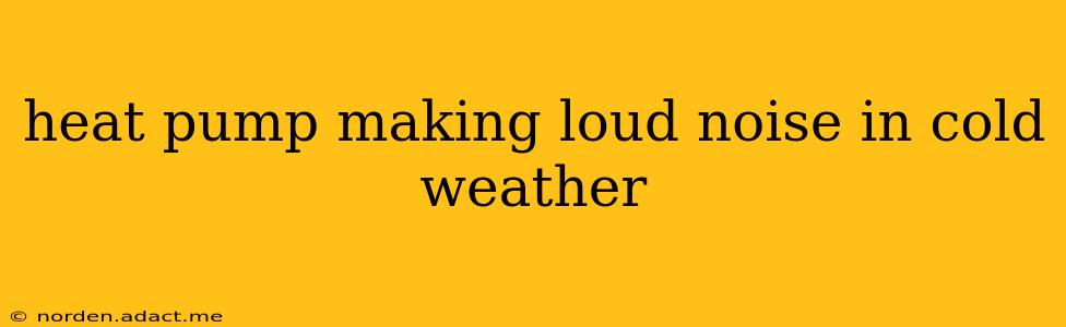 heat pump making loud noise in cold weather