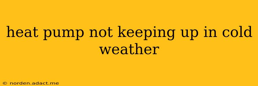 heat pump not keeping up in cold weather
