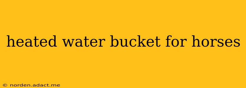 heated water bucket for horses