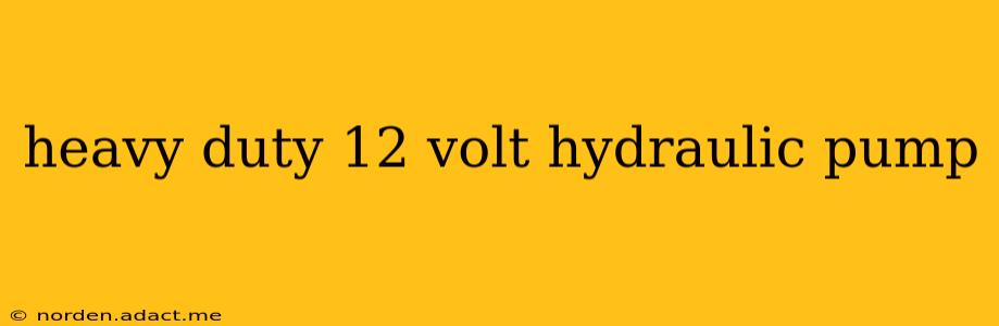 heavy duty 12 volt hydraulic pump
