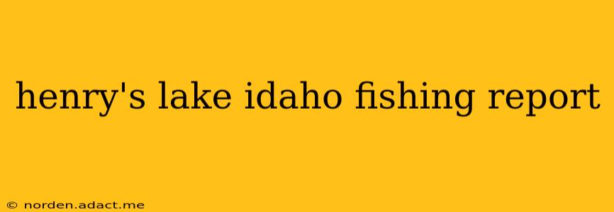 henry's lake idaho fishing report