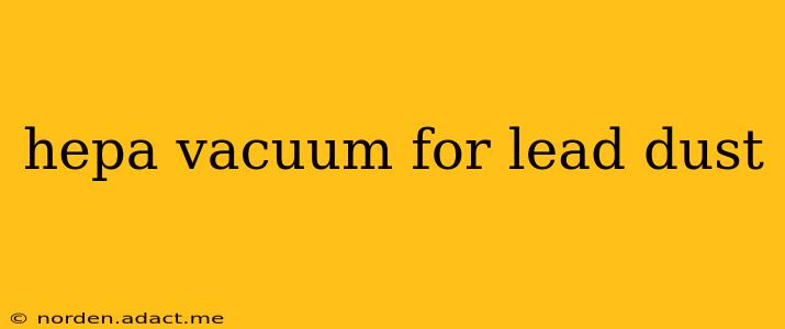 hepa vacuum for lead dust